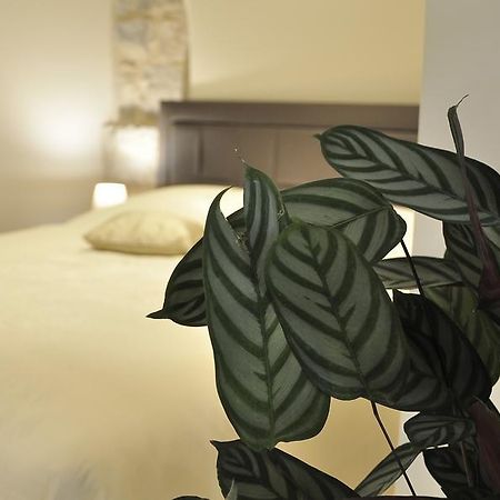 Villa Stagnja Сплит Экстерьер фото